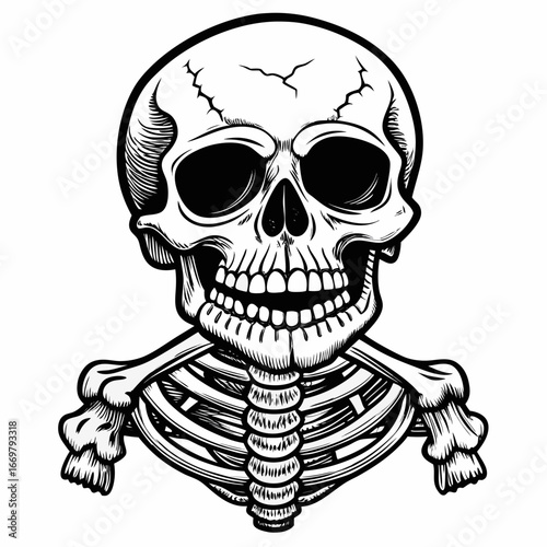 A skull and crossbones icon with a spooky human skull and bones for a pirate or Halloween symbol
