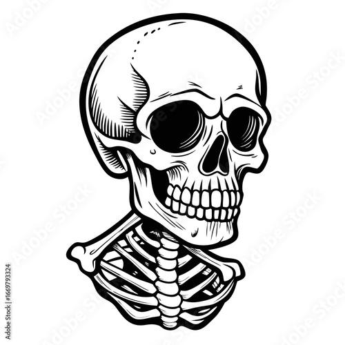 A striking human skull and crossbones vector illustration is a classic symbol of danger and death