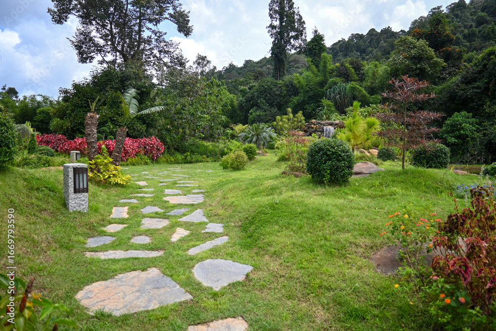 Obraz premium Scenic Landscape Pathway in a Lush Green Garden Surrounded by Colorful Blossoms and Foliage