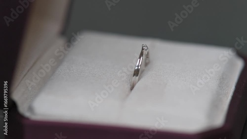 Wedding rings, couple rings, ring macro close-up