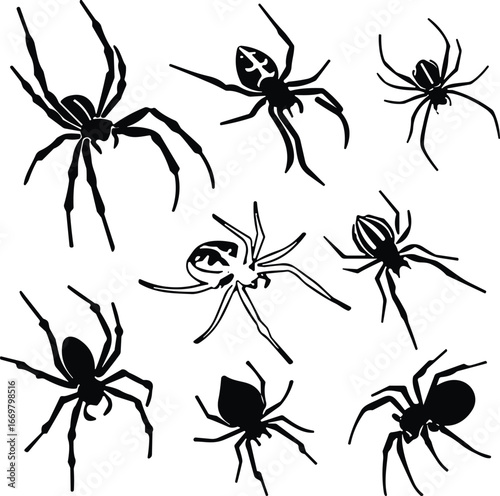 Spider silhouette collection, isolated spider icons, black spider shapes, arachnid species set, insect vector, creepy crawlies, biology illustration, entomology reference