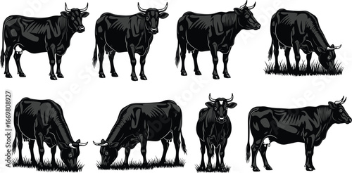 Black cow silhouette, farm animal grazing, cattle standing vector, livestock illustration, dairy cow design, bull horn drawing, pasture grass feeding