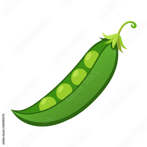 Minimalist vector illustration of a green pea pod