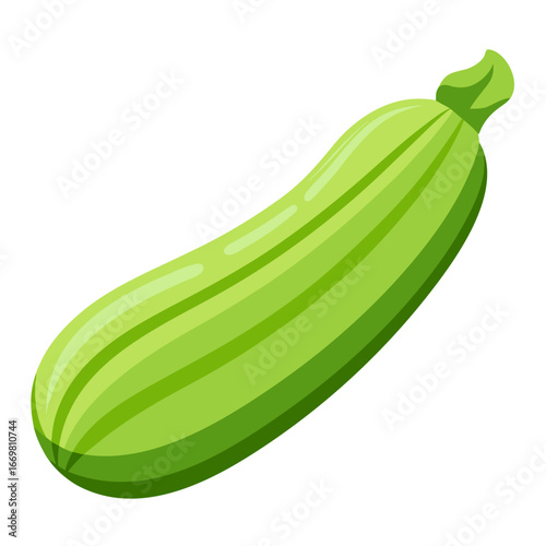Minimalist color zucchini vegetable design