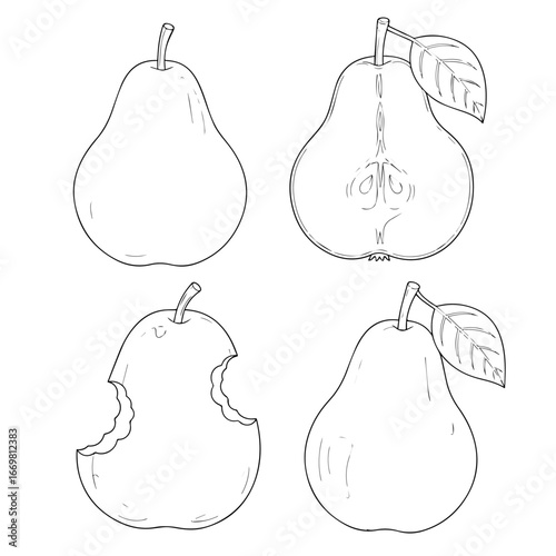 hand drawn pear
