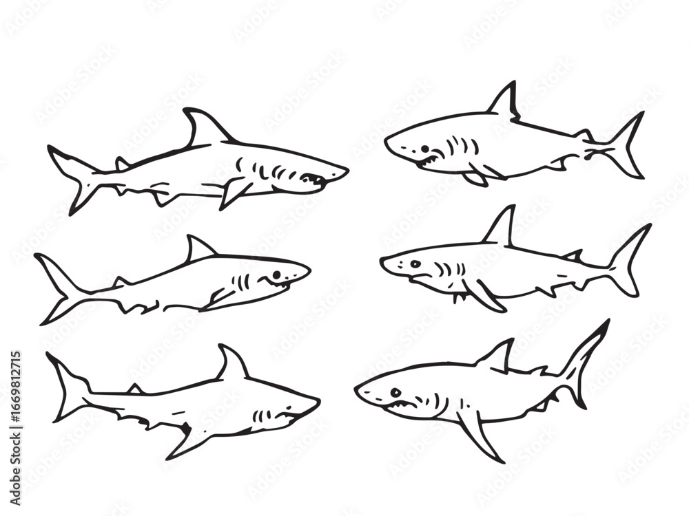 Fototapeta premium Ocean Shark Artwork