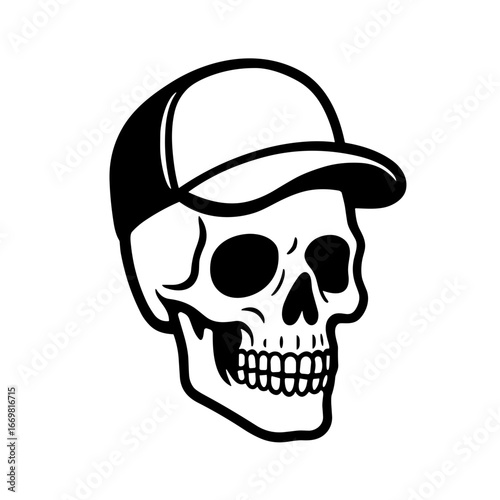 Human Skull illustration