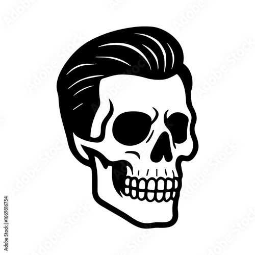 Human Skull illustration