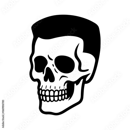 Human Skull illustration