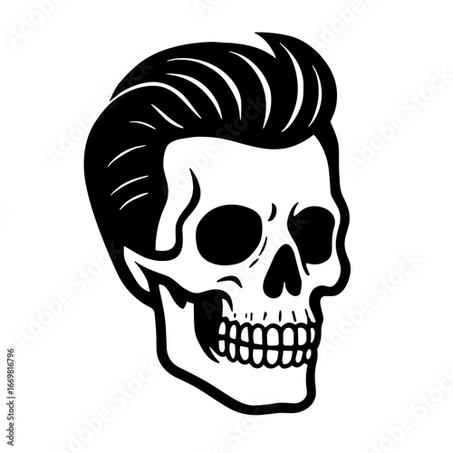 Human Skull illustration