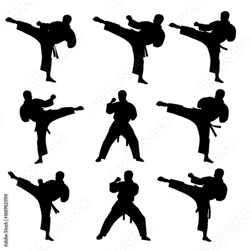 Martial Arts Silhouettes in Dynamic Kickboxing and Karate Stances for Fitness and Training