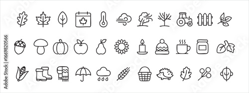 a set of vector outline icons that reflect the autumn and natural theme