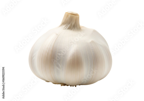 Single garlic bulb isolated on transparent background