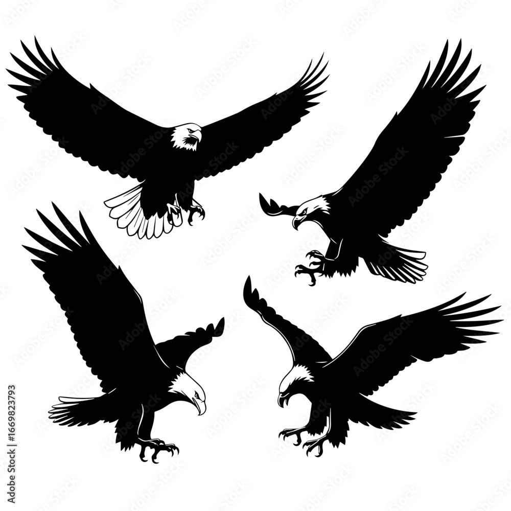 Obraz premium eagle vector illustration