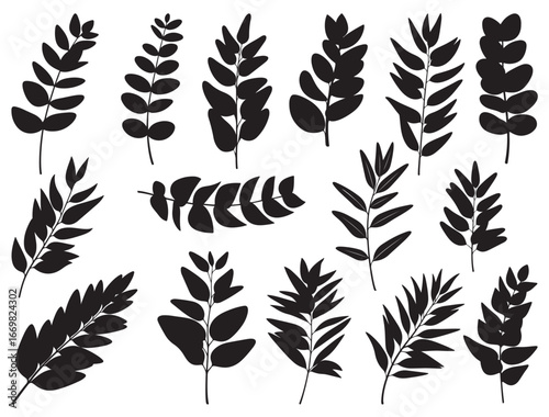 EUCALYPTUS LEAF SILHOUETTE