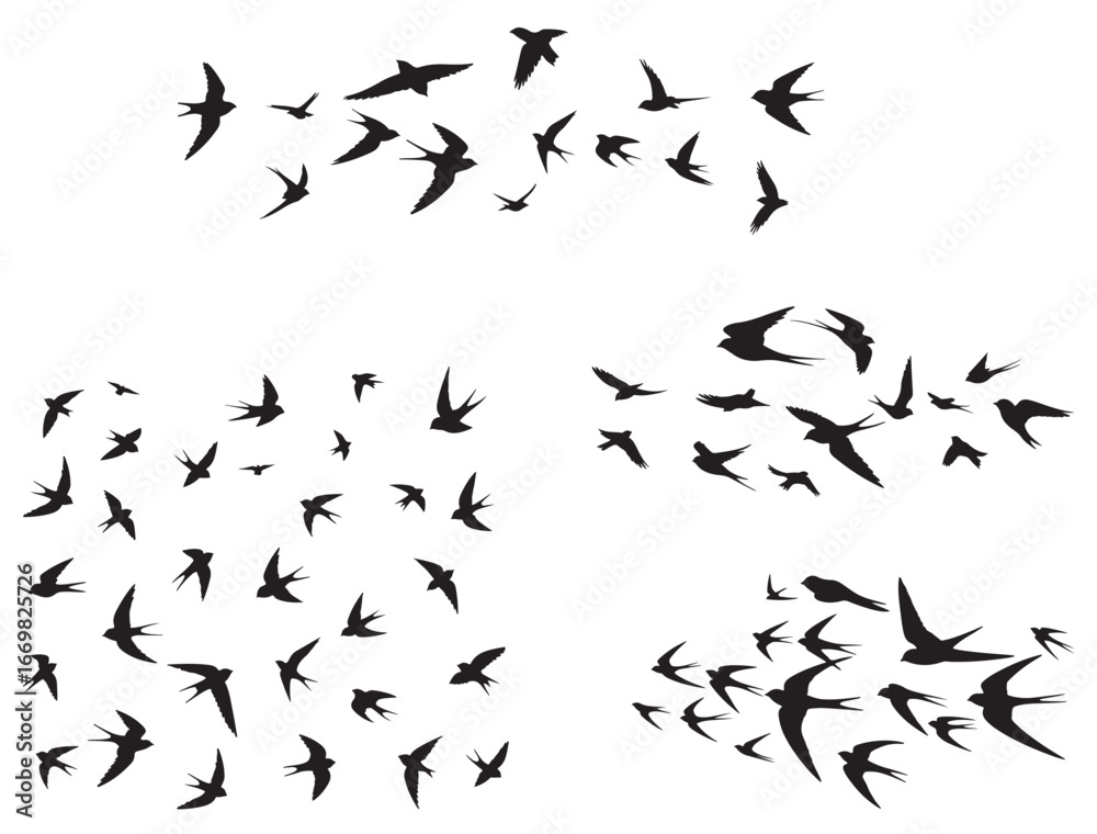 Naklejka premium FLOCK OF SWALLOW BIRD SILHOUETTE