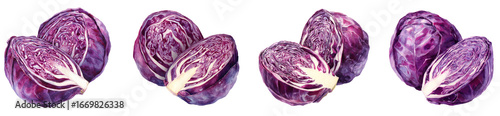 Realistic Watercolor Illustration of Vibrant Red Cabbage Halves and Whole, Perfect for Healthy Eating and Culinary Projects, PNG set Transparent background