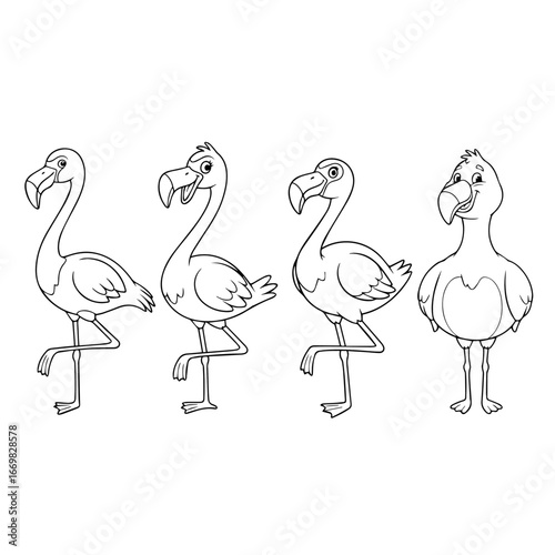 Set vector illustration of a flamingo