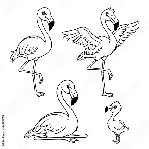Set vector illustration of a flamingo