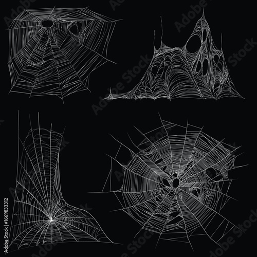 spider web vector illustration