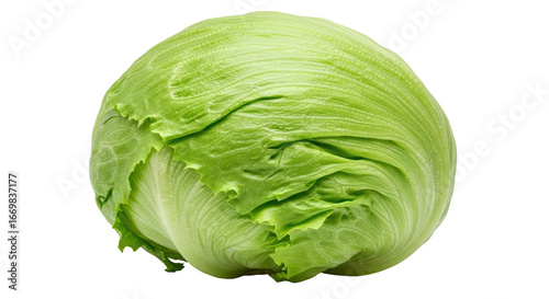 Tableau sur toile Isolated Iceberg Lettuce on White Background