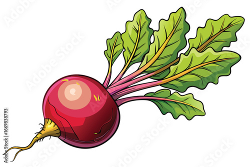 Vibrant Radishes with Green Leaves A Fresh and Colorful Vegetable Arrangement Depicting Nature's Bounty Vector Illustration