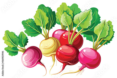 Vibrant Bunch of Radishes with Green Leaves A Fresh and Colorful Vegetable Arrangement Depicting Nature's Bounty