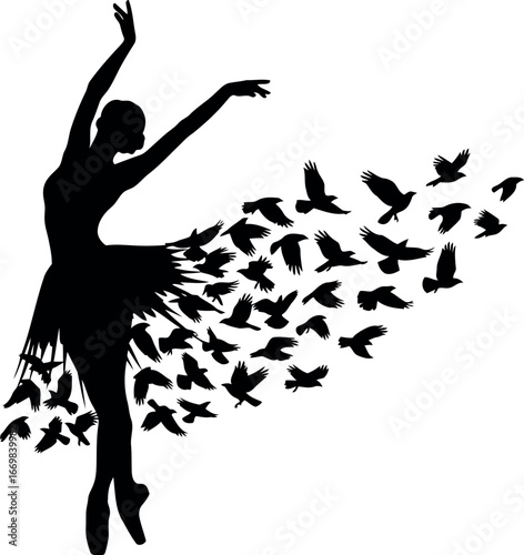 Ballet dancer silhouette with flock of birds forming skirt freedom concept vector
