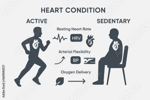 Vector comparison of heart condition in active and sedentary lifestyle showing health indicators and heart rate metrics.