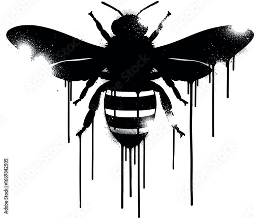 Urban graffiti bee stencil art dripping paint insect silhouette vector