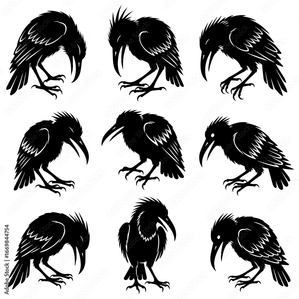 Obraz premium Vector silhouettes of crows in various poses on a white background.