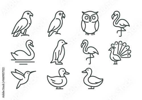 Outline icons of various bird species: eagle, parrot, owl, flamingo, swan, penguin, peacock, duck, hummingbird