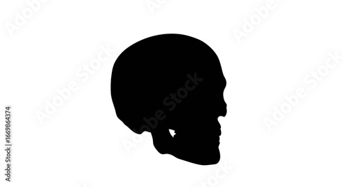 An ominous black skull profile, rendered as a bold silhouette, stands out vividly against a pristine white canvas, conveying themes of mortality and mystery.