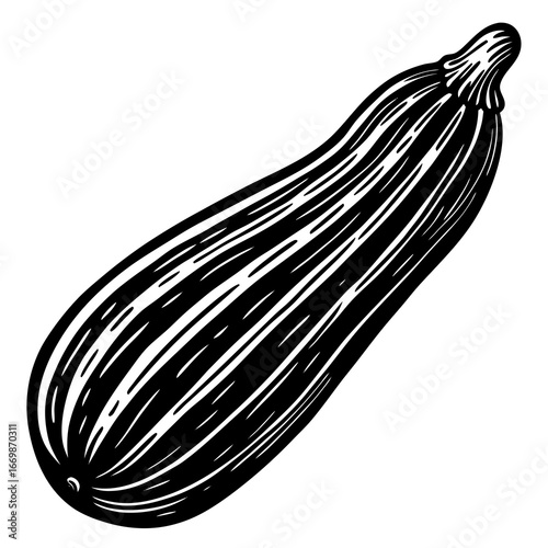 Black and white illustration of a whole zucchini on a white background squash vegetable