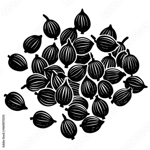 Black and white illustration of dried coriander seeds scattered on a white background spice herb