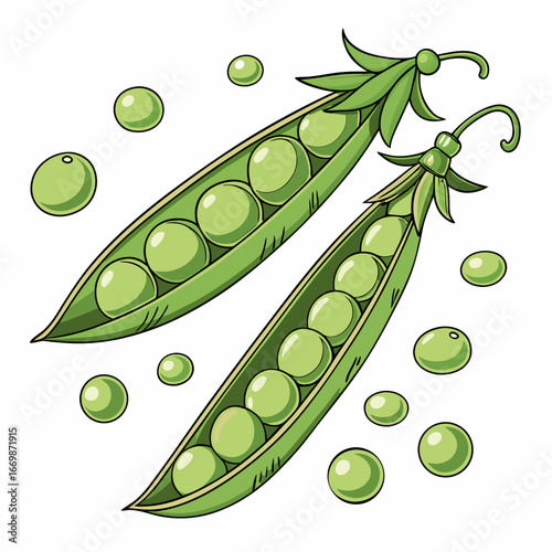 Two open green pea pods with scattered peas on a white background vegetable food
