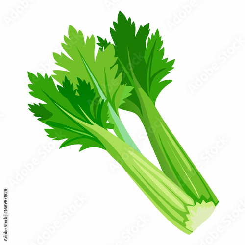 Two green celery stalks with leaves on a white background vegetable food