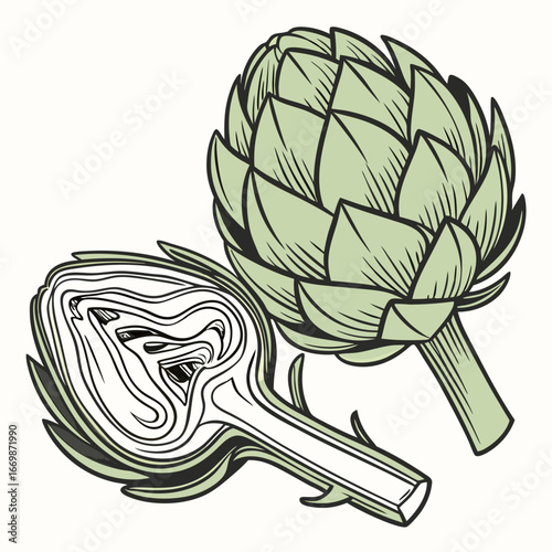 Whole and halved green artichoke with black outlines on a white background whole artichoke halved artichoke