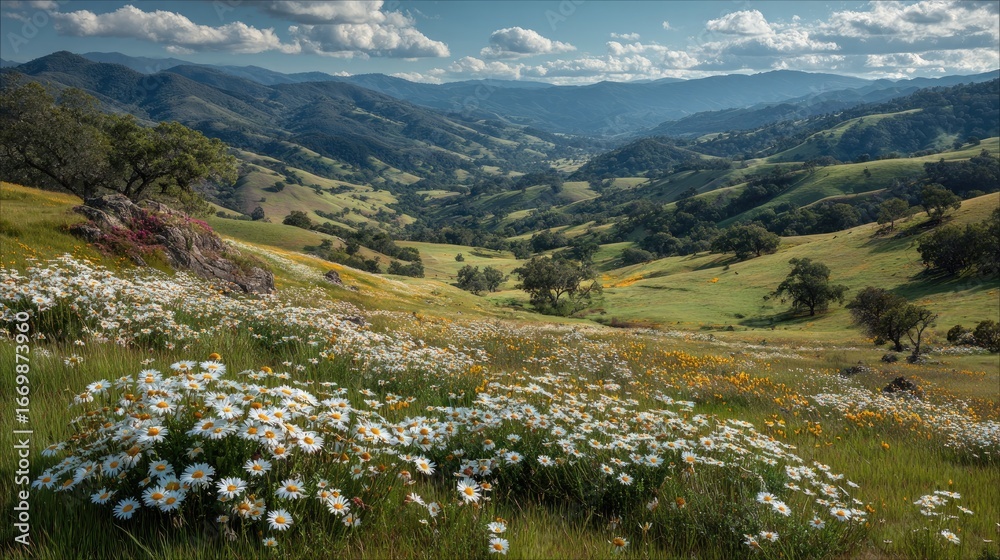 Naklejka premium Mountain meadow blanketed in wildflowers