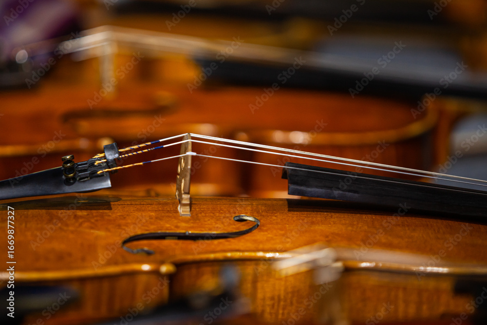 Fototapeta premium A close-up of a lying violin fragment in dark tones