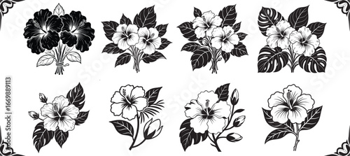 Timeless hibiscus flower design elements for branding, invitations, or patterns, adding a touch of tropical elegance and botanical flair to any project.