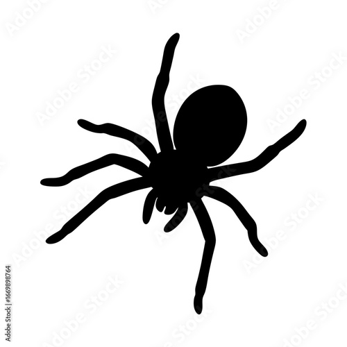 Black spider silhouette with eight legs against a plain white background.
