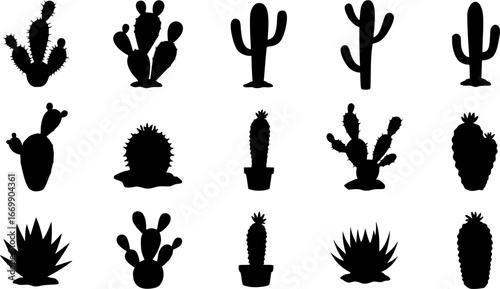 Various cactus plant silhouettes icon set on white background
