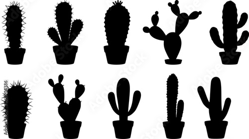 Various cactus plant silhouettes icon set on white background
