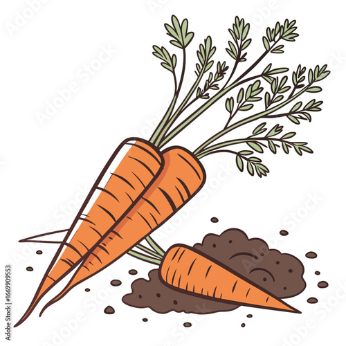 Fresh Carrots with Green Tops Emerging from Soil Illustration vegetables root vegetables
