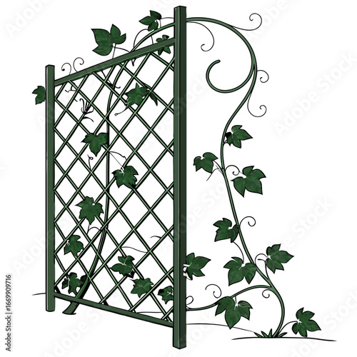 Green vine climbing on a decorative metal garden trellis with a white background climbing plant
