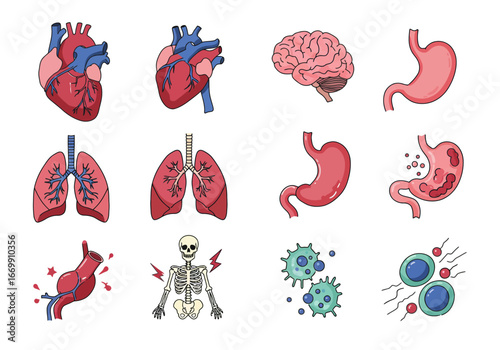 A collection of medical illustrations depicting human organs like the heart, lungs, brain, and stomach, alongside various diseases and conditions.