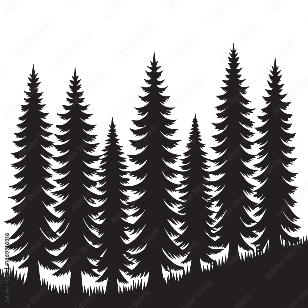 Obraz premium Silhouette of a dense evergreen forest with tall conical pine trees against a stark white background evoking a sense of wilderness and natural beauty