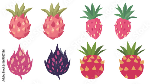 Two Dragon Fruits Vector Graphic Design – Tropical Exotic Fruit Illustration