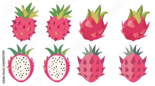 Two Dragon Fruits Vector Graphic Design – Tropical Exotic Fruit Illustration